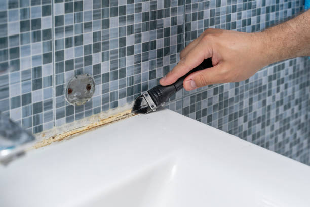 Best Health and Safety Mold Remediation in Ruthers, CA