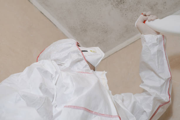 Best White Mold Remediation in Ruthers, CA